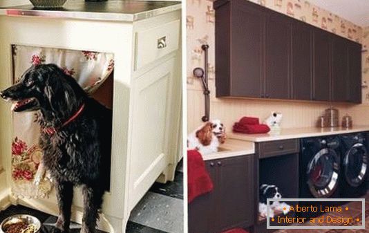 Lugar para o cachorro no armário da cozinha