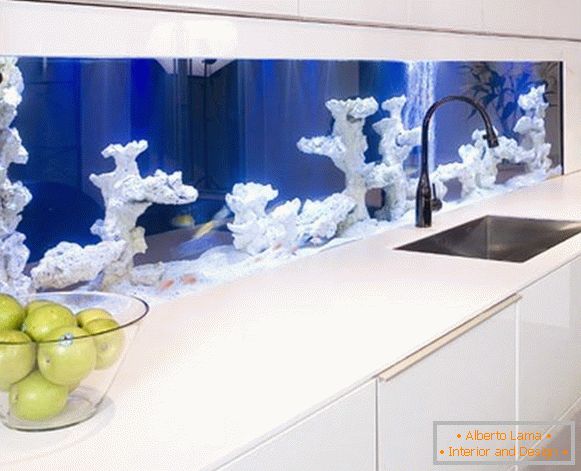 Um aquário com corais na cozinha