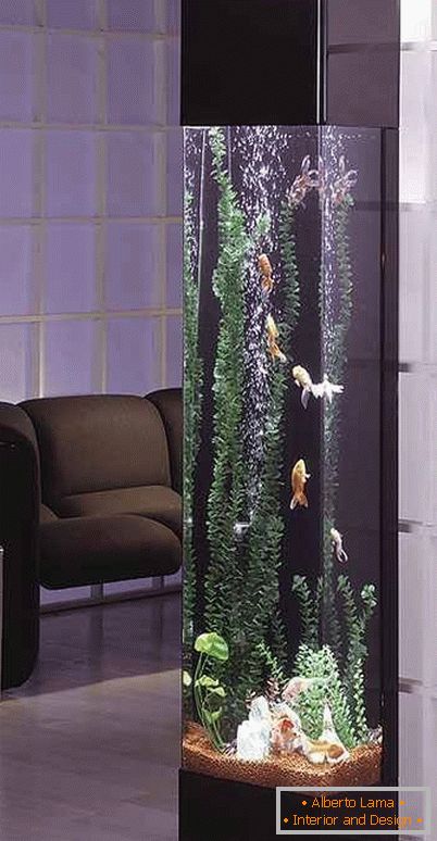 Alto aquário na sala de estar