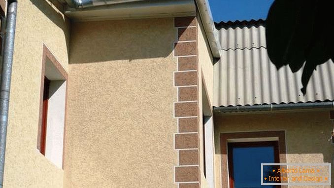 Besouro de casca de gesso nas fachadas das casas, foto 13