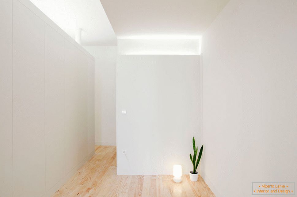 Interior de um pequeno apartamento em cores claras - одинокий цветок