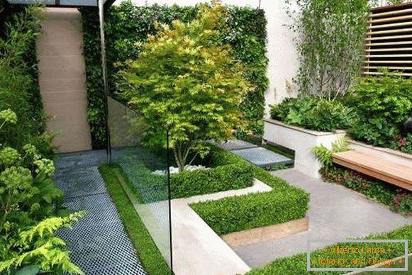 Design minimalista e limpo do terreno do jardim