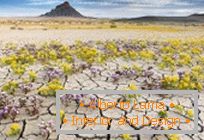 Desertos em Utah, explodidos em cores