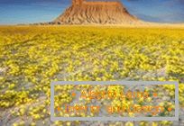 Desertos em Utah, explodidos em cores