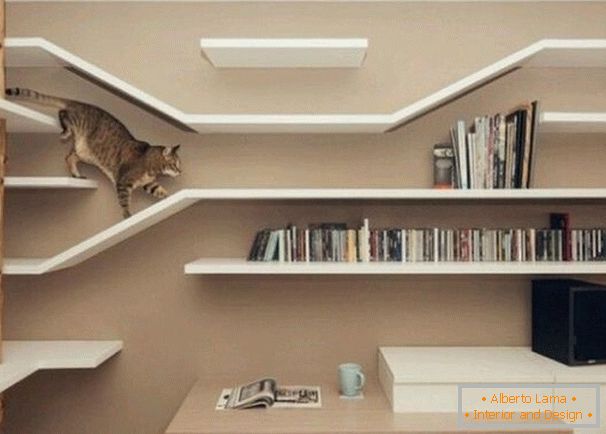 Labirinto para um gato de prateleiras de parede