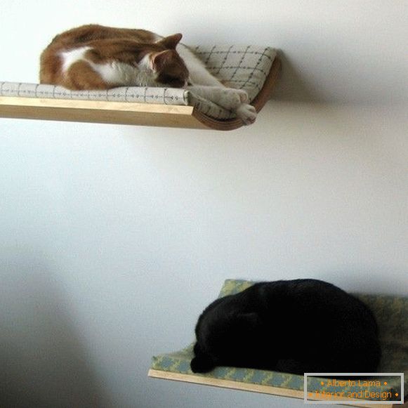 Prateleiras de parede para gatos