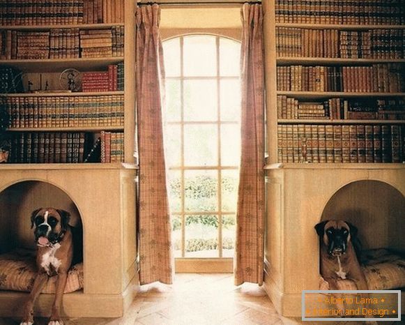Cabines para cães em estantes de livros