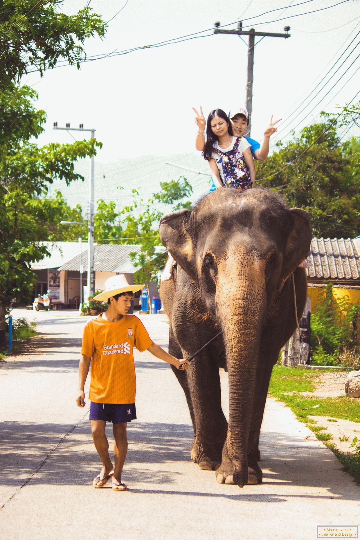 Viajando em um elefante