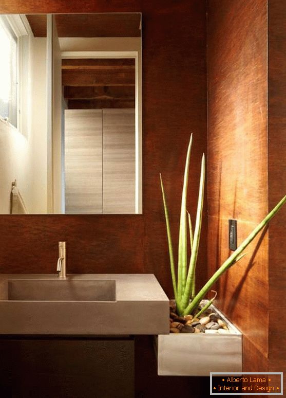 Aloe vera em uma moderna casa de banho
