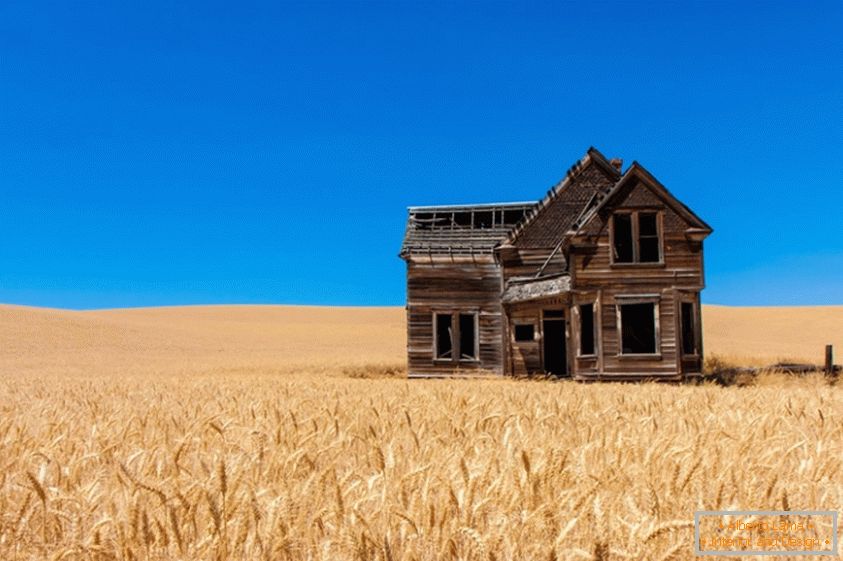 Casa antiga em um campo de trigo
