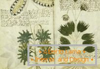 Manuscrito misterioso de Voynich